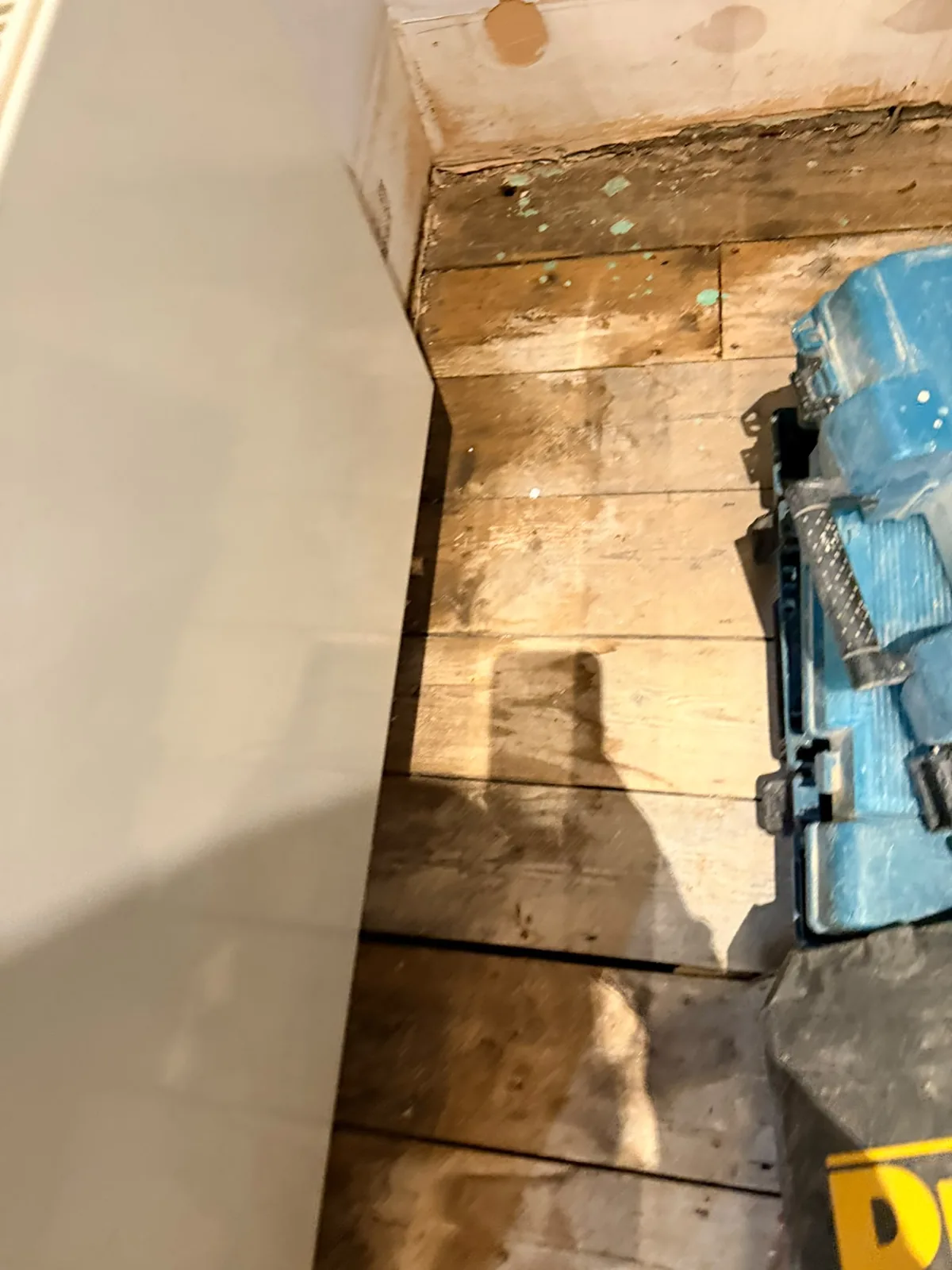 Timber floor opened to investigate moisture damage